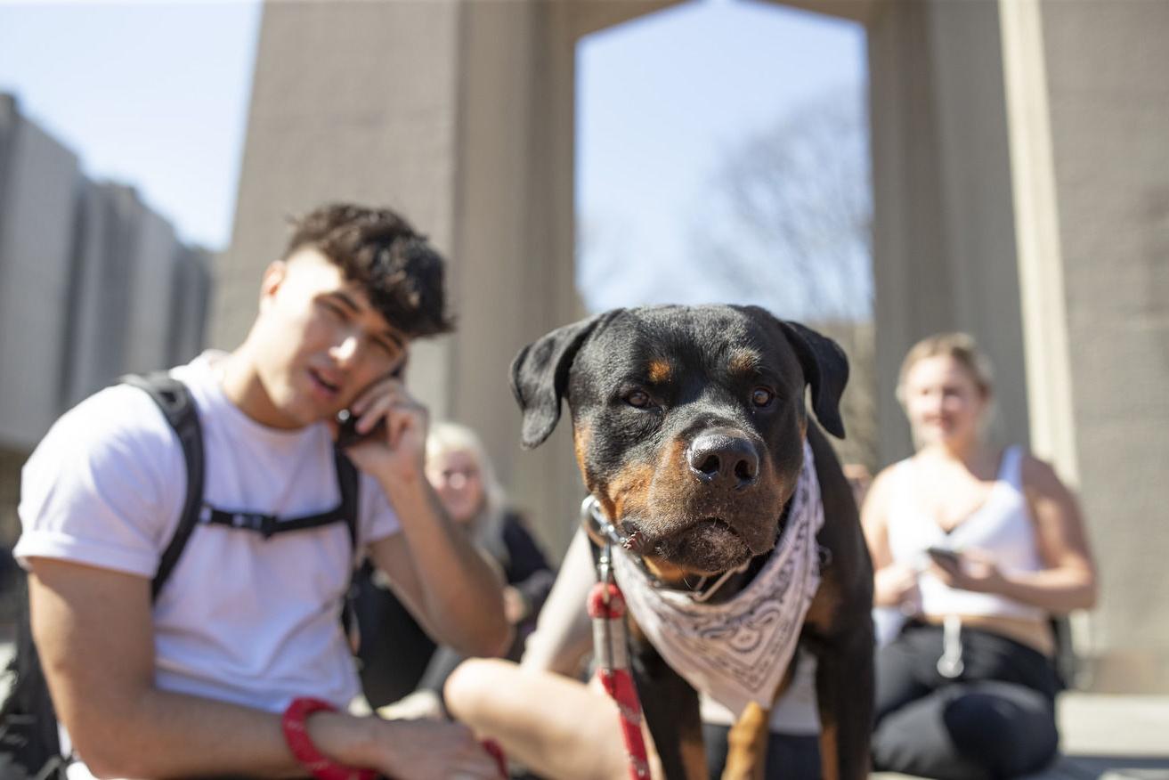 一张狗和学生坐在钟楼前的照片.